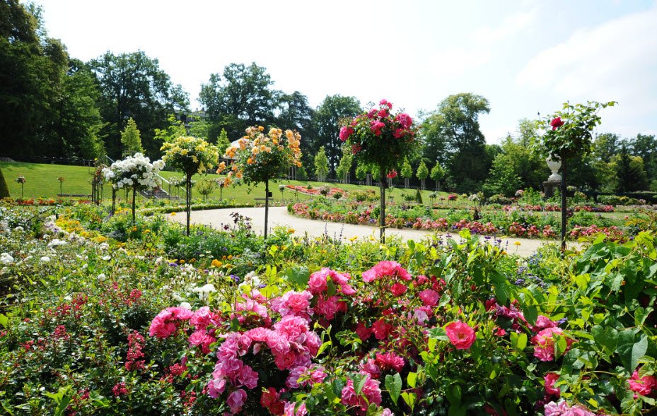Le Jardin des Plantes, Le Mans, France, France